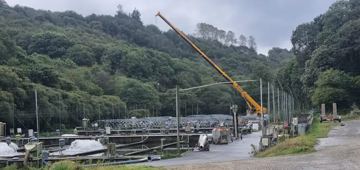 Grue dans une pisciculture